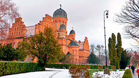 Новогодние Карпаты Буковель Черновцы фото 1