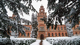 Рождественские Карпаты Буковель Черновцы фото 3