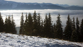 Буковель