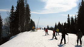 Отдых в Карпатах