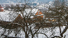 На бережке фото 3