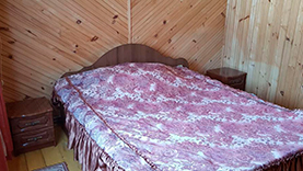 Пташиний спів фото 3