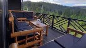 Black Chalet фото 3