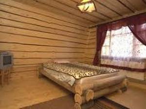 Хатки на пеньках фото 2