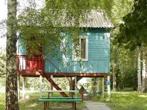  На Десне фото 2