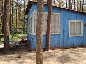Сокол фото 2
