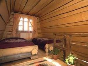 Хатки на пеньках фото 3
