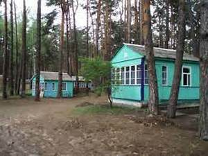 Зеленый Бор фото 3