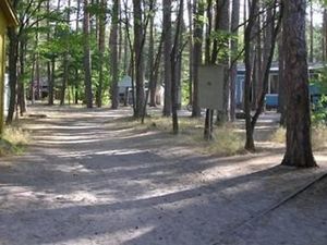 Сокол фото 1
