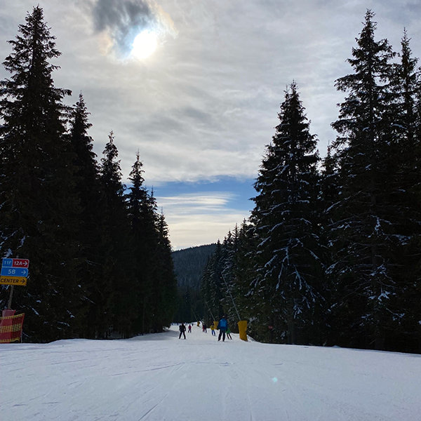 новый год 2024 в карпатах из киева