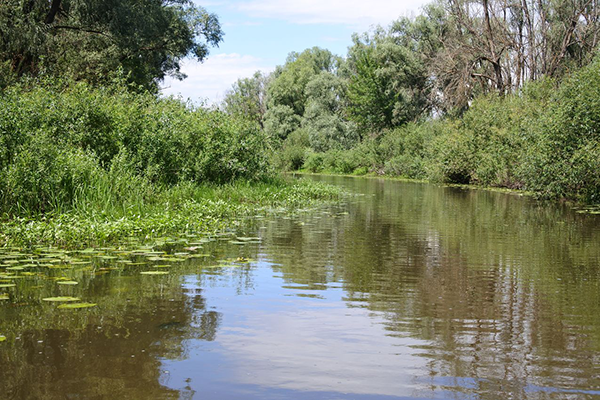 корпоративний тимбілдинг на природі Київ