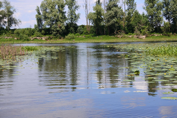 сплав на байдарках по Десні