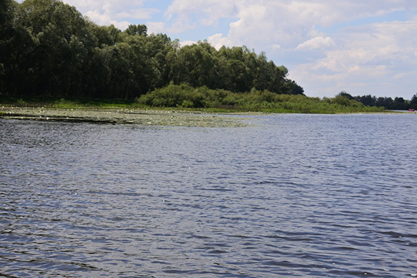корпоративний тимбілдинг на природі Київ