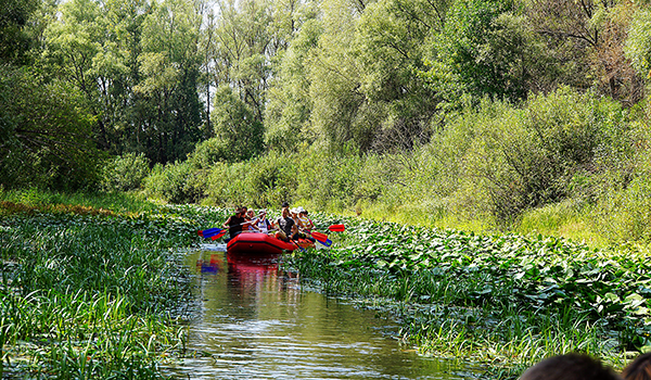 СПЛАВ НА БАЙДАРКАХ SUP BOARD КИЇВ фото 4